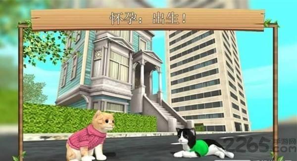 猫咪生存模拟器内购破解版下载,猫咪生存模拟器,模拟游戏,生存游戏,猫咪游戏
